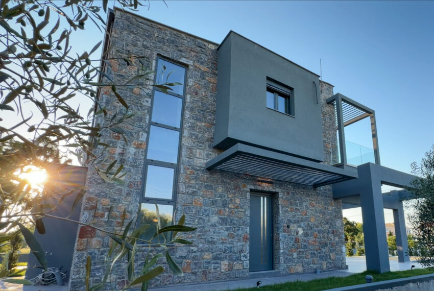 Polychrono1321-28