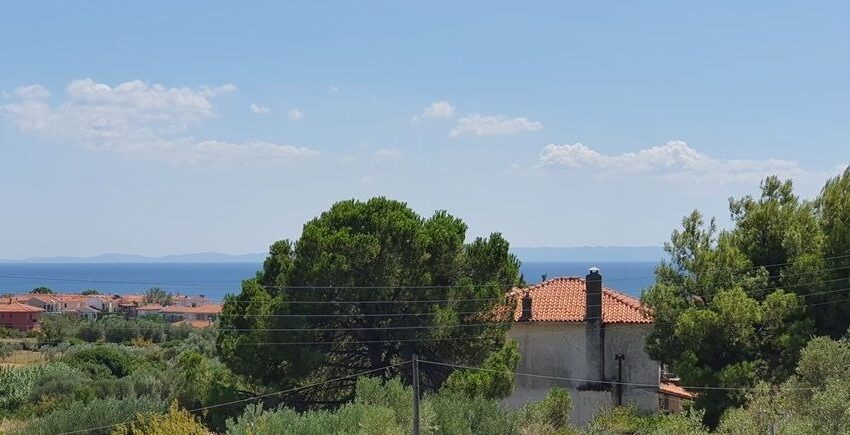 Nikiti1658-23