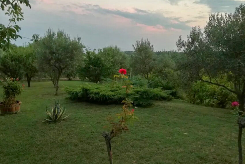 Agiaparaskevi2054-22