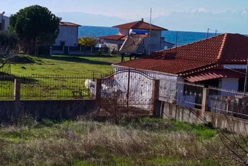 Plagia2084-19