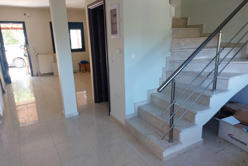 Dionisiou2260-12