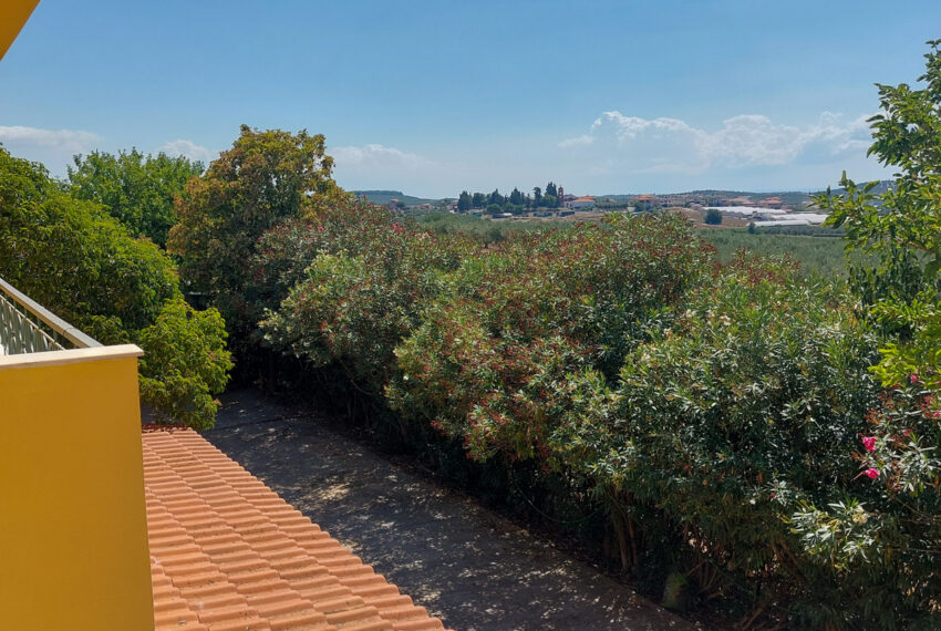 Dionisiou2260-29