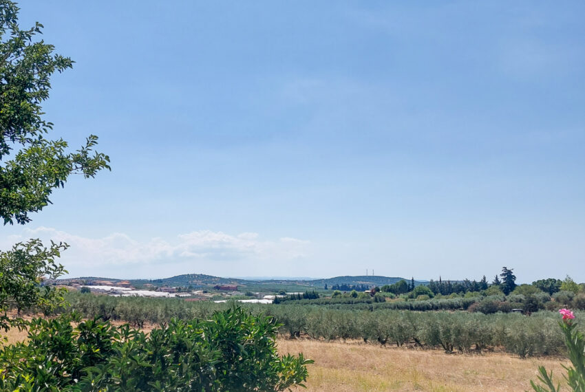 Dionisiou2260-32