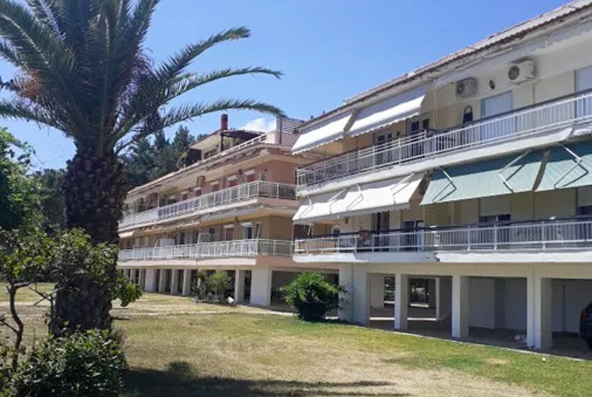 Metamorfosi2324-3