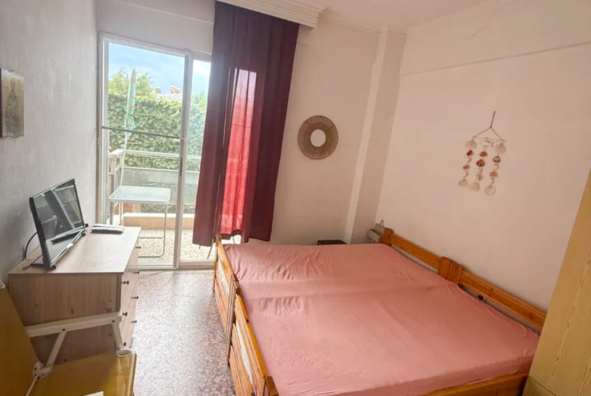 Plagia2438-11