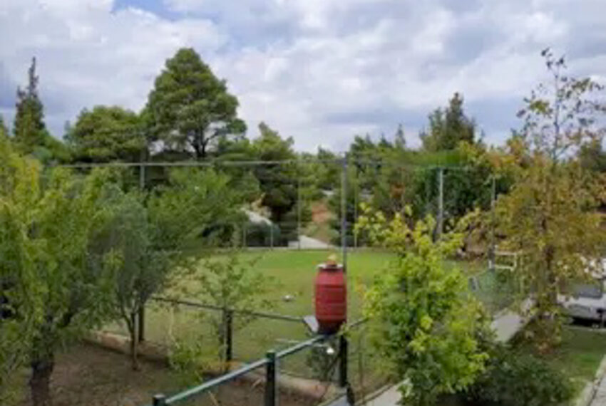 Agiosnicolaos2358-14