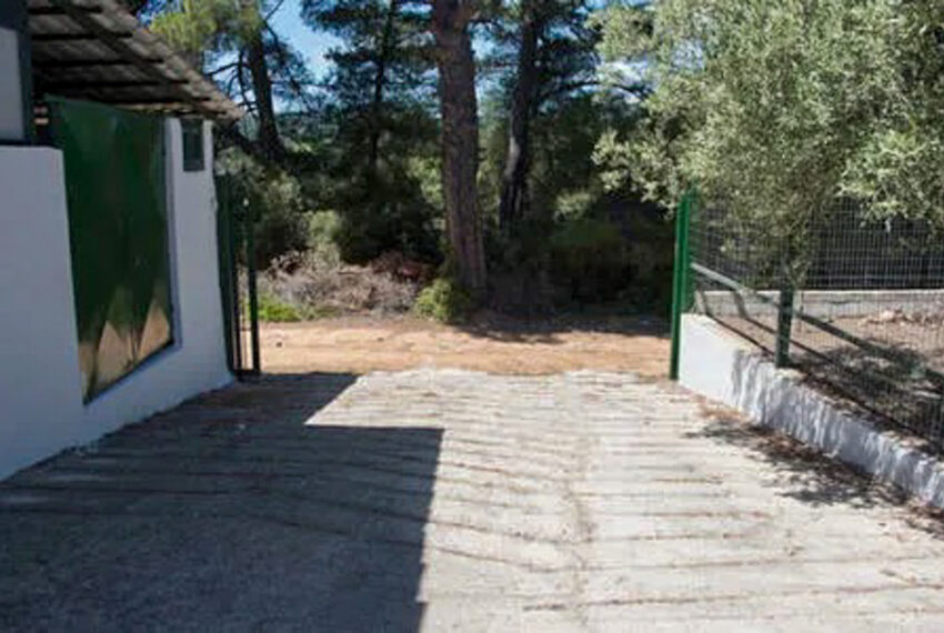 Agiosnicolaos2358-18