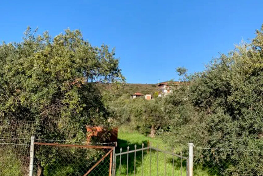 Aktisalonikiou2444-18