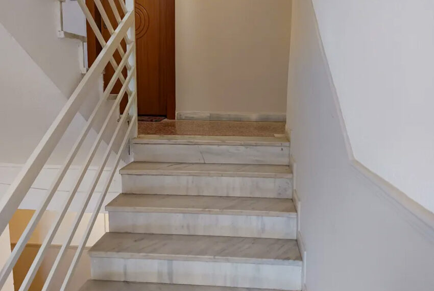 Plagia2504-25