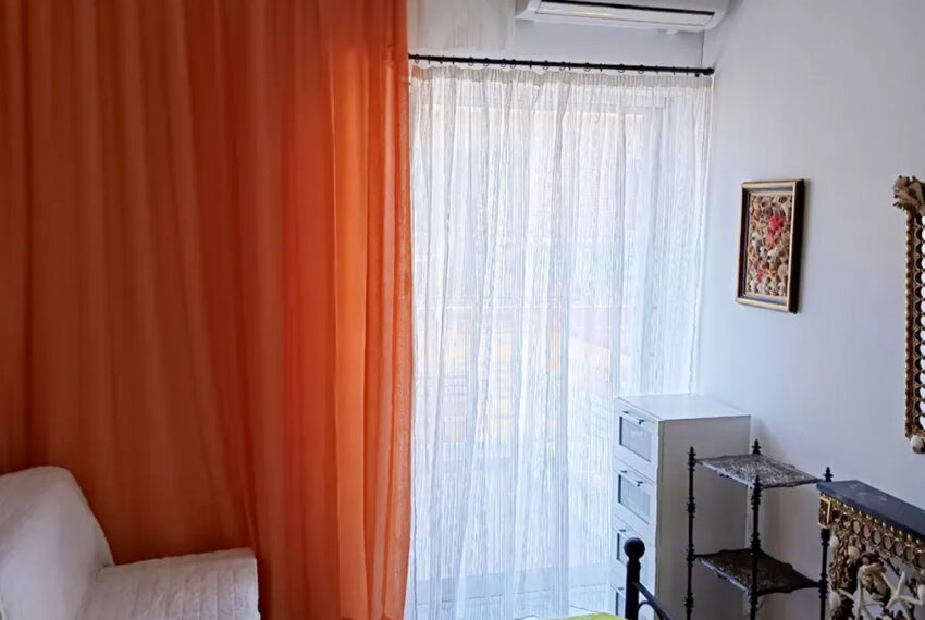 Plagia2504-8