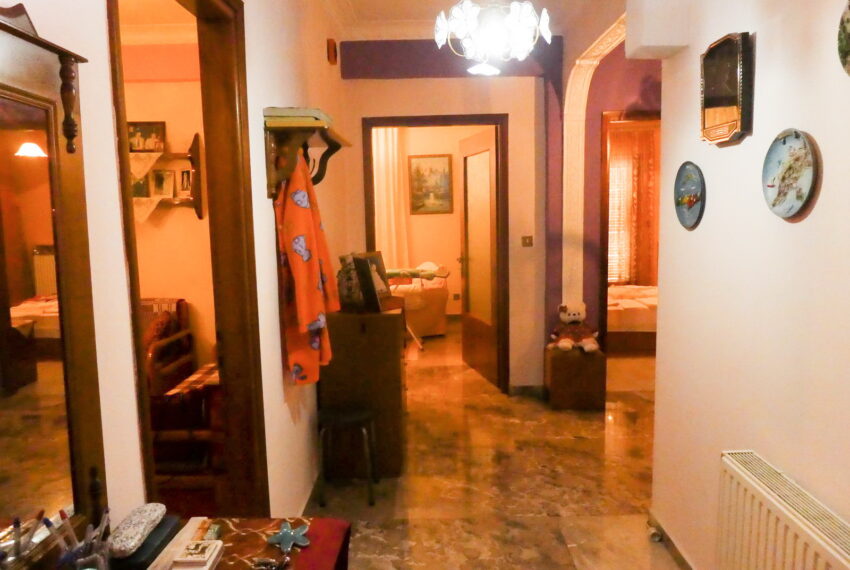 Flogita884-4