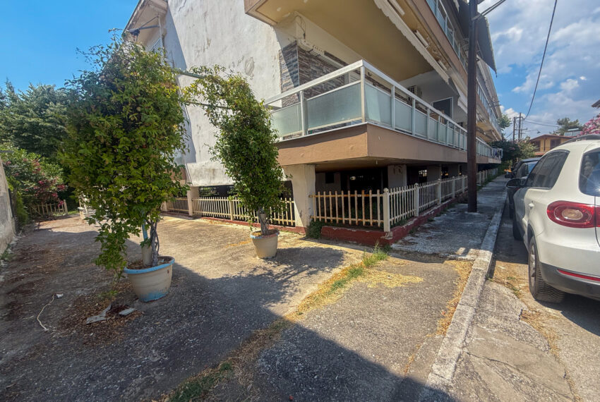 Plagia2508-2