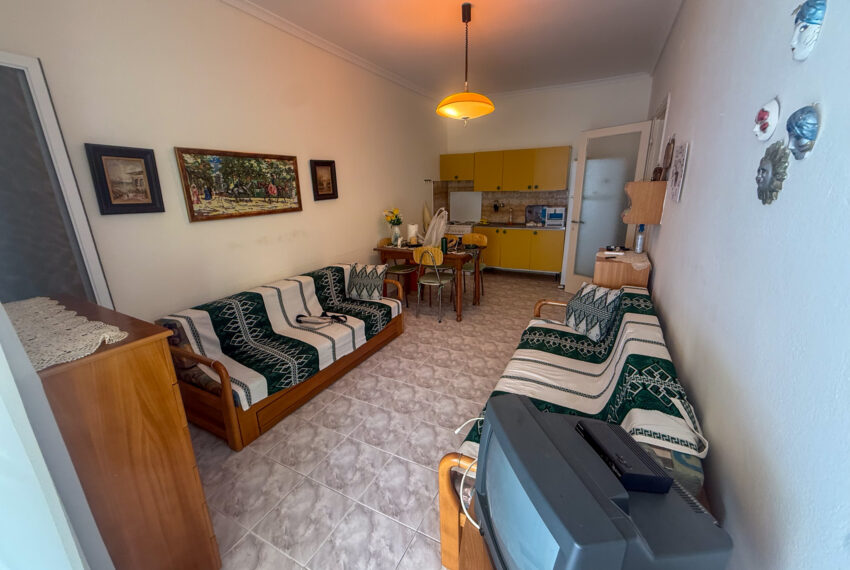 Plagia2508-8