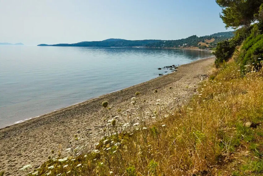 Plaliouri2541-3