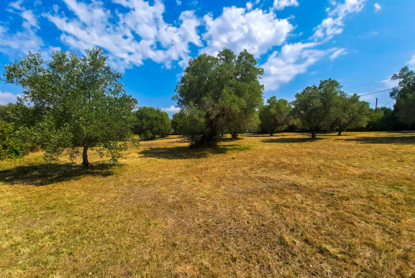 Afytos2557-15