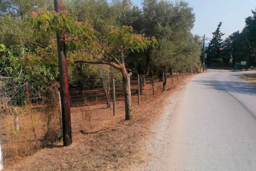 Ierisos2582-10
