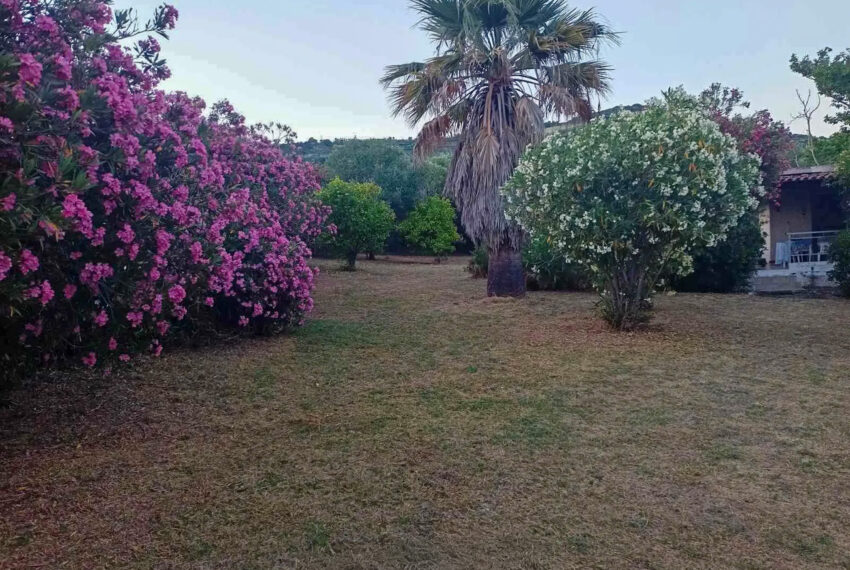 Ierisos2582-4