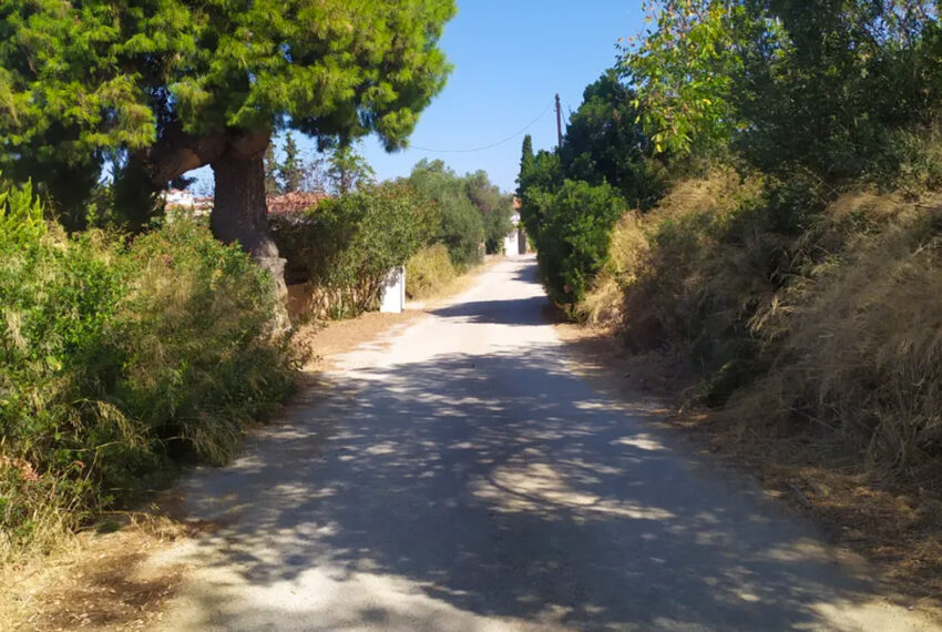 Paliouri2564-6