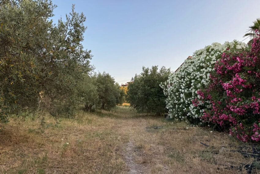 Pefkohori2591-12