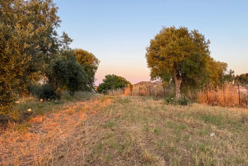 Pefkohori2591-15