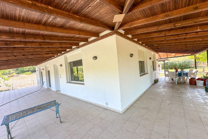 Elani2631-18