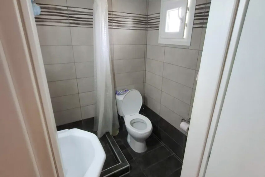 Flogita2659-12